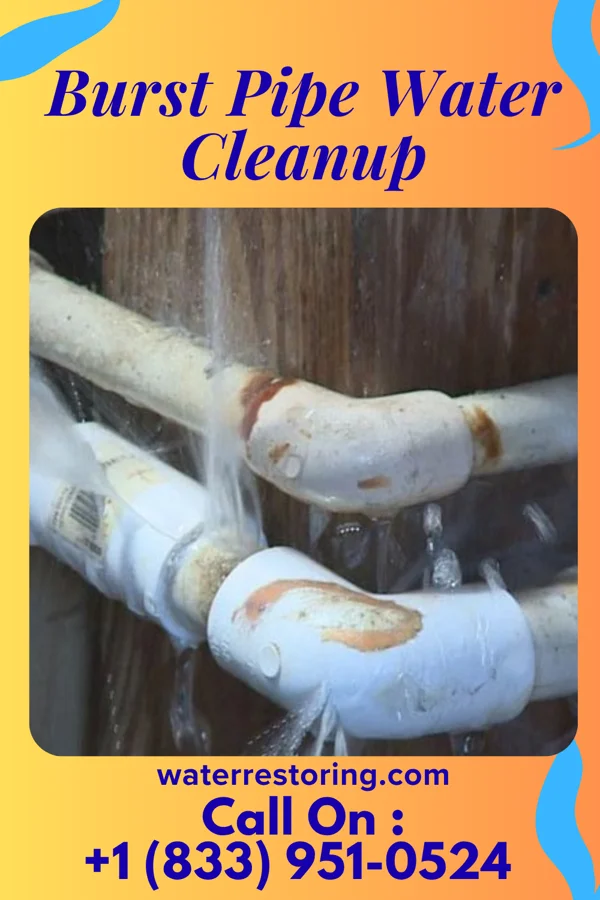 Burst Pipe Water Cleanup in New Bavaria, OH