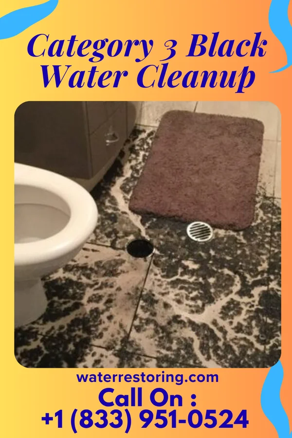 Category 3 Black Water Cleanup in New Bavaria, OH