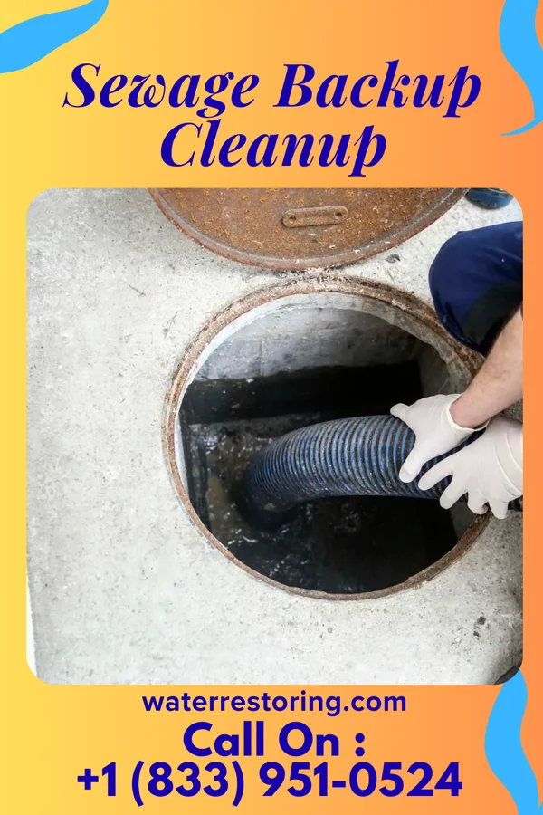 Sewage Backup Cleanup in New Bavaria, OH