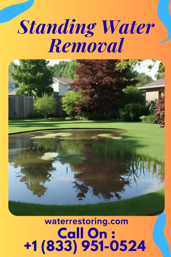 Standing Water Removal in New Bavaria, OH